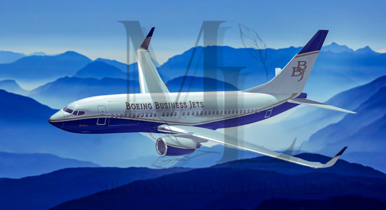 Boeing BBJ MAX X Custom